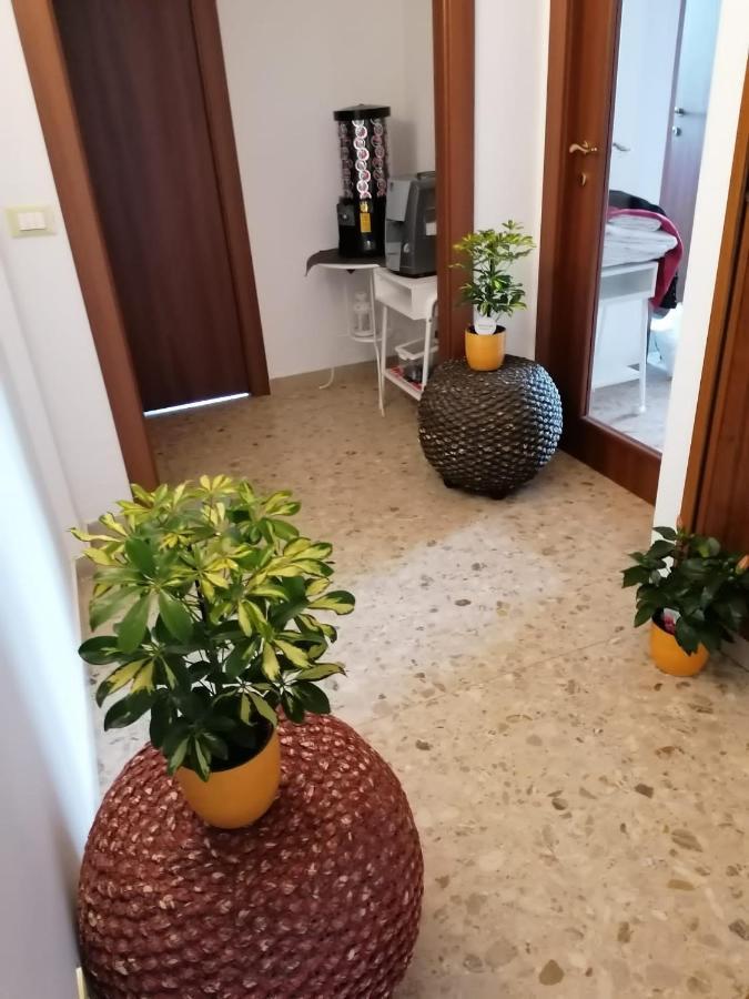 比萨Giuseppe House公寓 外观 照片