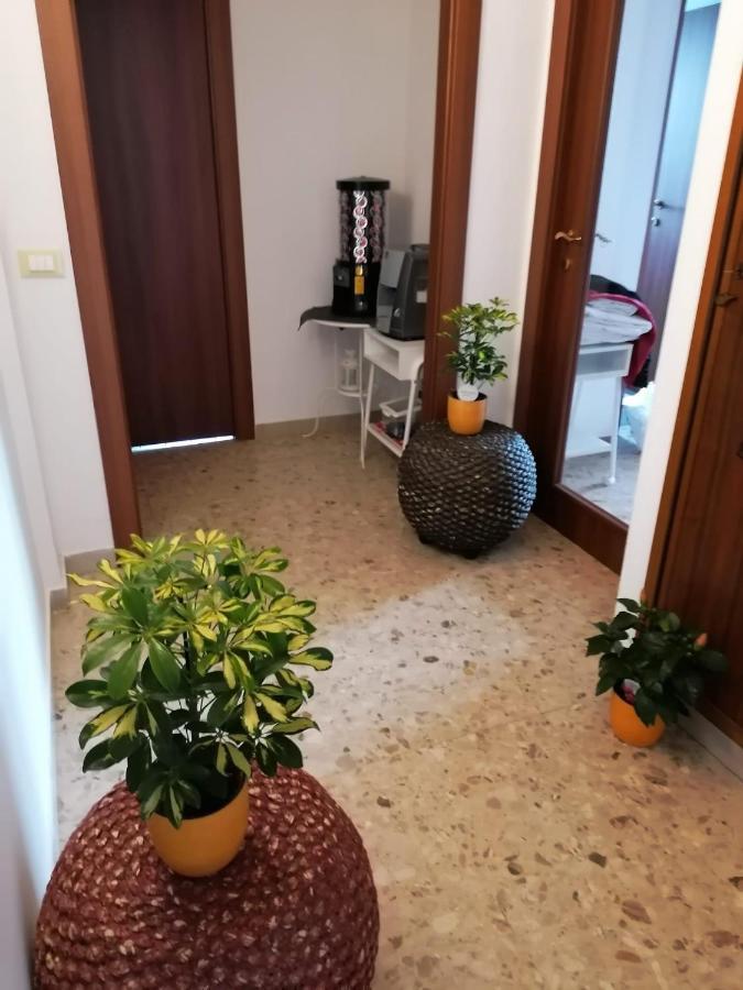 比萨Giuseppe House公寓 外观 照片