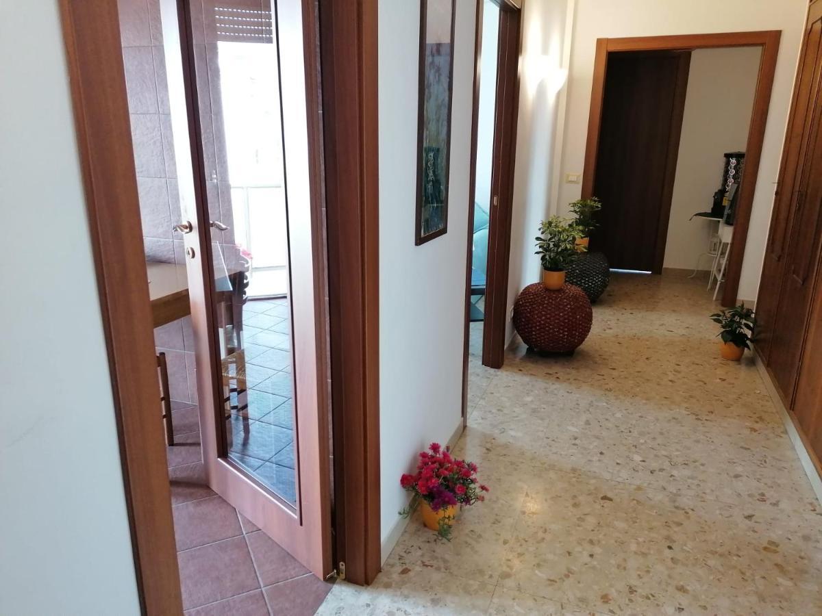 比萨Giuseppe House公寓 外观 照片